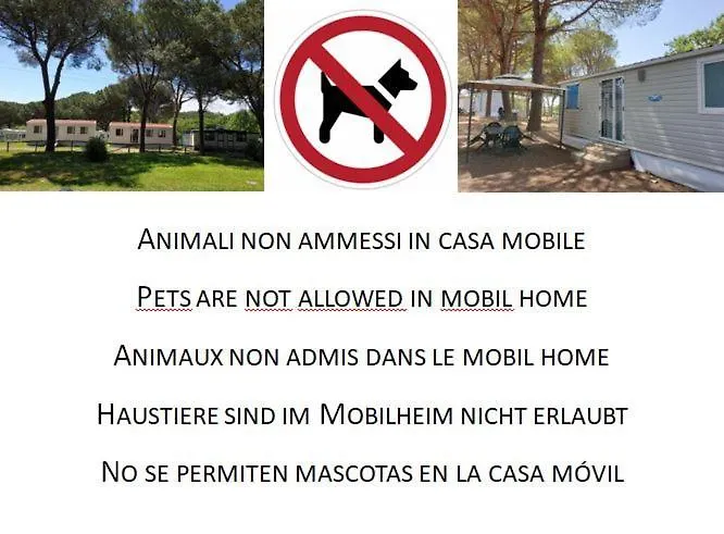 Aurelia Club Ξενοδοχείο Ρώμη Κάμπινγκ